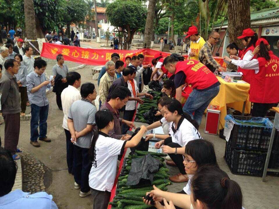 爱心青瓜 接力义卖