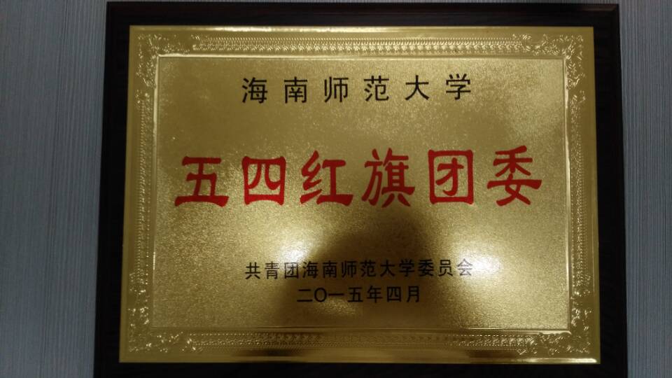 2014年度共青团工作总结表彰大会